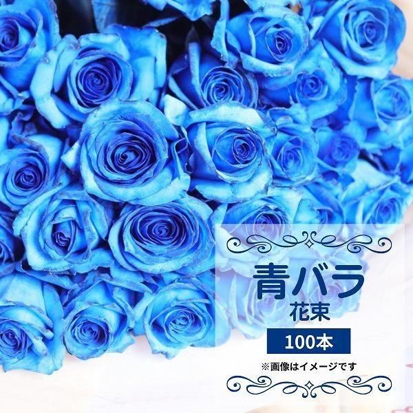 ĥХ100ܡ̤£ʪ˿Ūʲڤ䤫