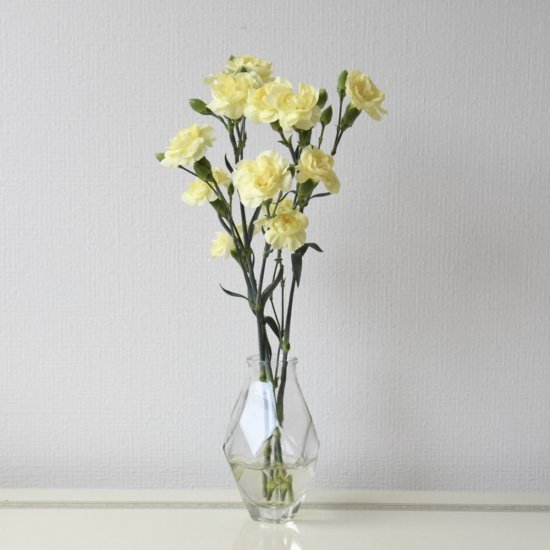 スプレーカーネーション黄色３本 500 ラクハナ お花の専門家セレクト 日本初 花のネットスーパー