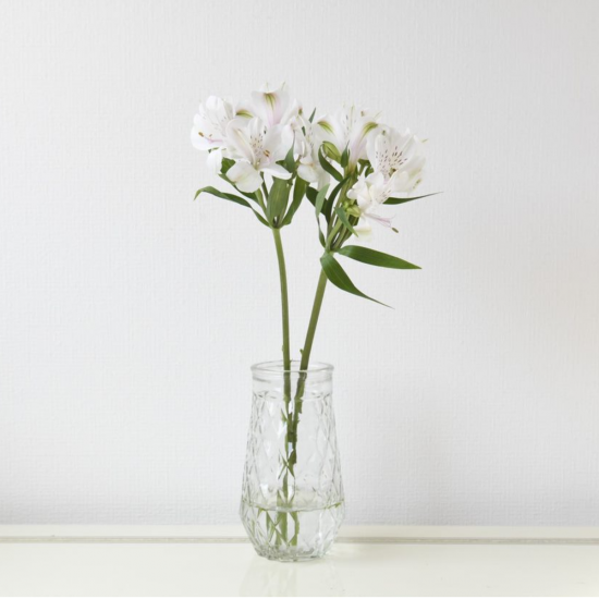 アルストロメリア白２本 500 ラクハナ お花の専門家セレクト 日本初 花のネットスーパー