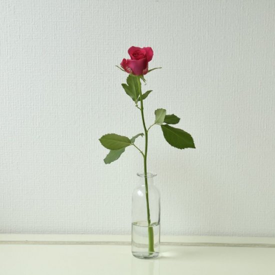 バラ 濃いピンク 1本0 ラクハナ お花の専門家セレクト 日本初 花のネットスーパー