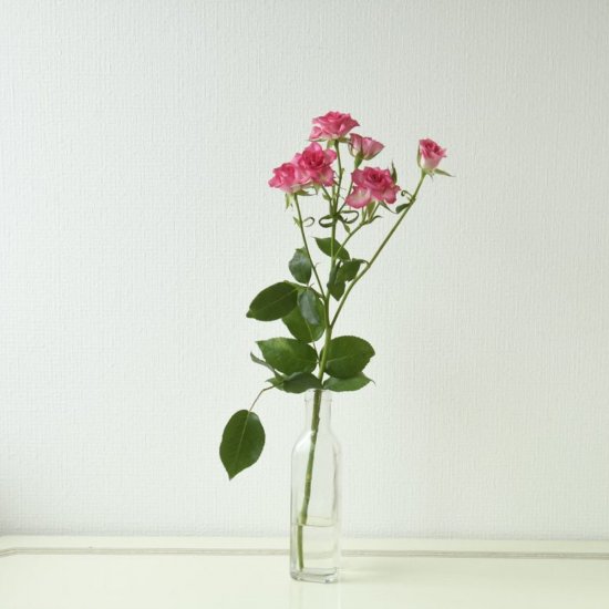 スプレーバラ ピンク 1本300 ラクハナ お花の専門家セレクト 日本初 花のネットスーパー