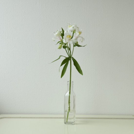 アルストロメリア 白 1本300 ラクハナ お花の専門家セレクト 日本初 花のネットスーパー