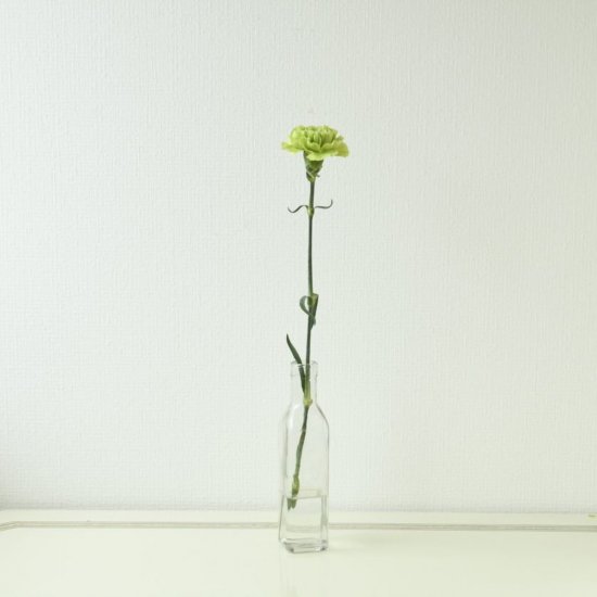 カーネーション グリーン 1本0 ラクハナ お花の専門家セレクト 日本初 花のネットスーパー
