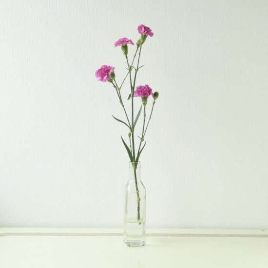 スプレーカーネーション ピンク 1本0 ラクハナ お花の専門家セレクト 日本初 花のネットスーパー