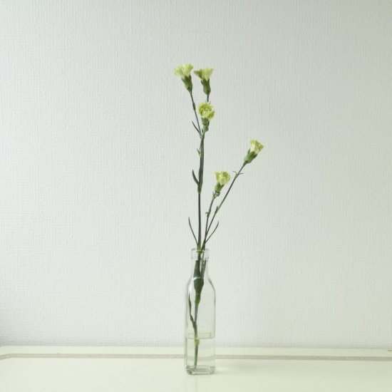 スプレーカーネーション グリーン 1本0 ラクハナ お花の専門家セレクト 日本初 花のネットスーパー