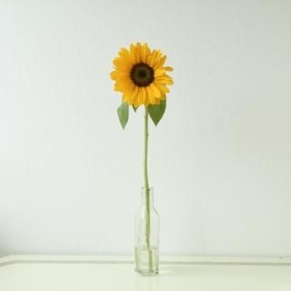 ラクハナ｜お花の専門家セレクト 日本初「花のネットスーパー」