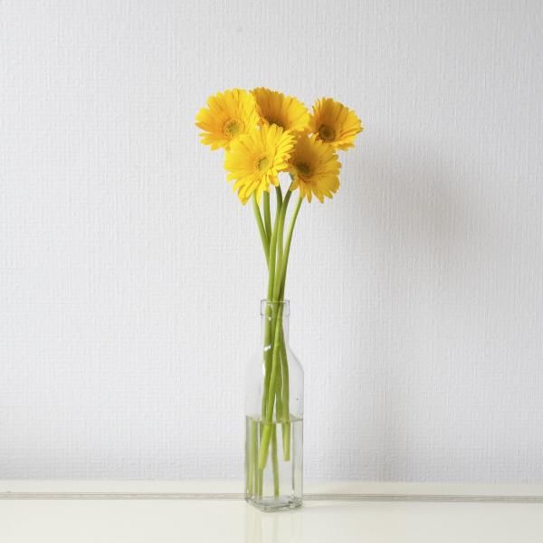 ガーベラ 黄色 5本 | 花のネットスーパー - ラクハナ｜お花の