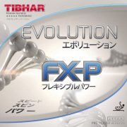 ܥ塼 FX-P