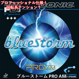 ֥롼ȡ PRO AM