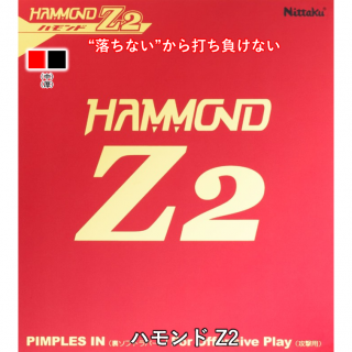 ϥ Z2 