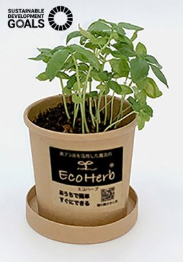 【エコハーブ】お家で簡単・ハーブを育てるMini Plant 2ケセット