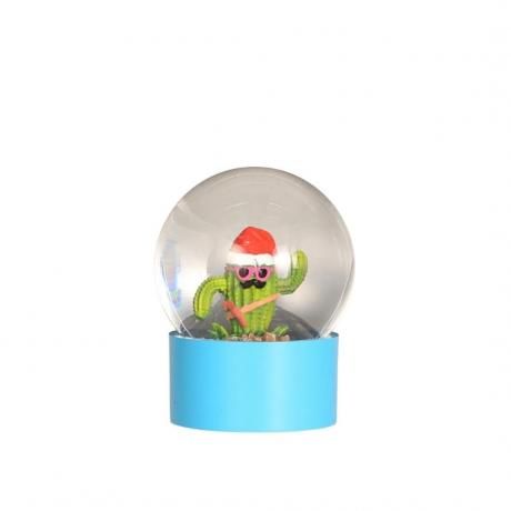 WATER GLOBE SANGLATUS BLUE
 󥰥饿