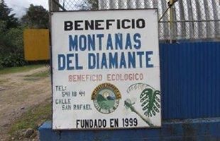 ꥫȥ饹ܥࡦƥȡ100g