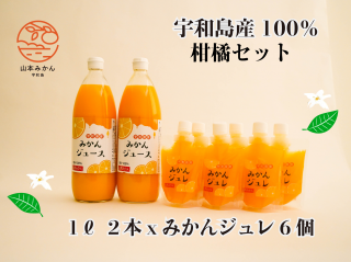 宇和島産100％柑橘セット（みかんジュース1Lx2本、みかんジュレ6個）