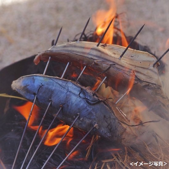 藁焼かつおタタキ9kg（3kg×3cs）※送料込み・バラ売り不可 - 山長商店