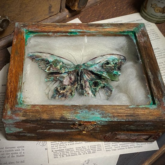 【913WORKS】蝶と箱のオブジェ　腐食鉱石　L