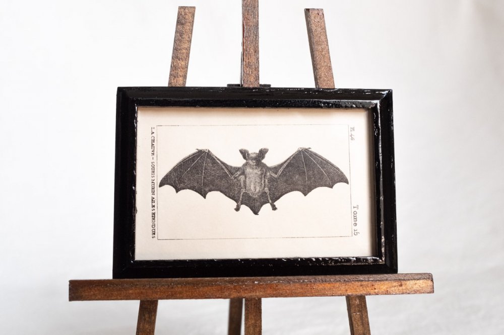 【Atelier de MIOMORI】ちいさな博物画_ Bat (一匹のコウモリ）１ ブラック