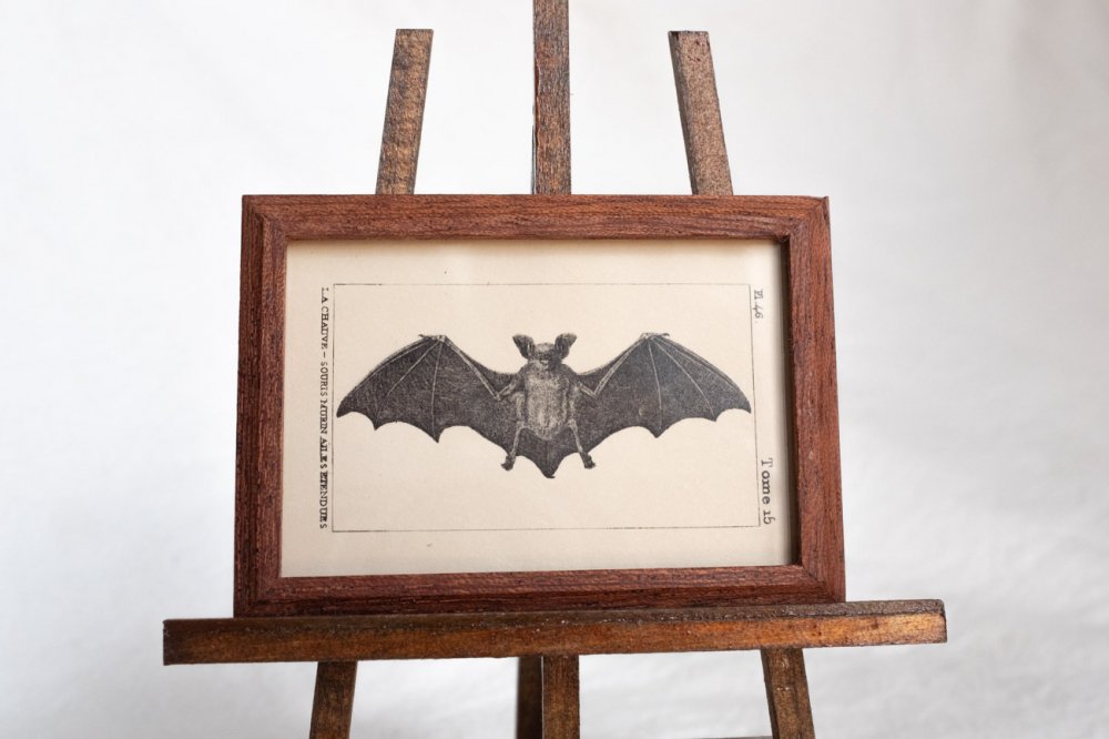 【Atelier de MIOMORI】ちいさな博物画_ Bat (一匹のコウモリ）２ マホガニー - CHIROPTeRE-キロプテル雑貨店-
