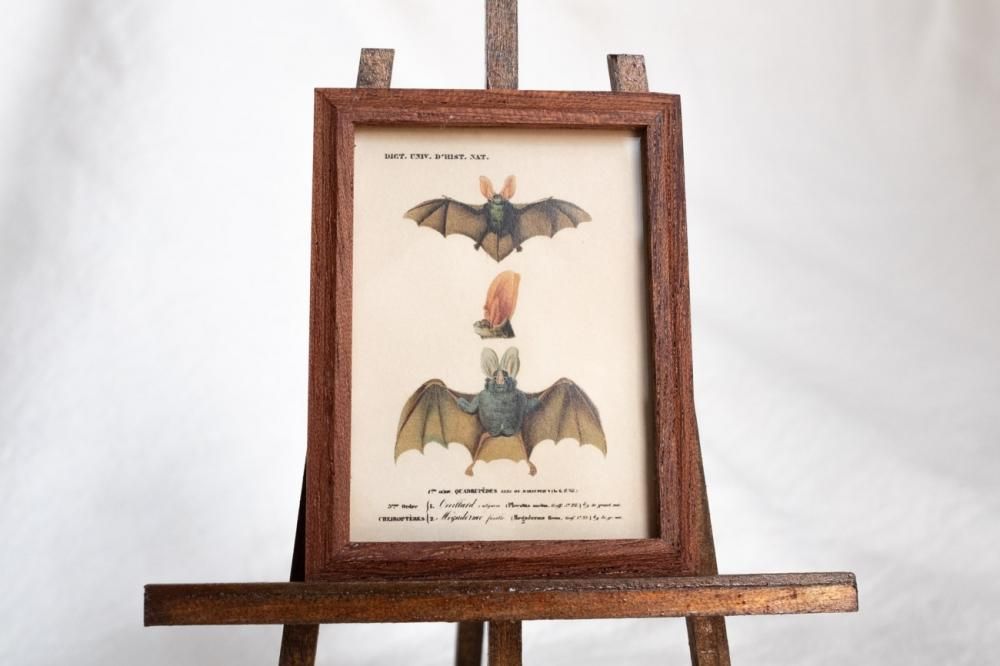 コボリサヤカ作品 新品未開封 アルビノコウモリ コボリサヤカ作品 新品未開封 アルビノコウモリ - メルカリ