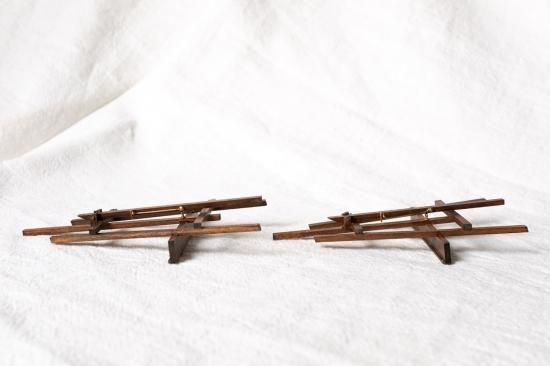 コボリサヤカ作品 新品未開封 アルビノコウモリ ヤマコウモリ 訂正 ヒナコウモリ コウモリの大家、大沢夕志さん