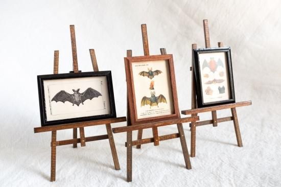 Atelier de MIOMORI】ちいさな博物画_ Bat ウサギコウモリ）1