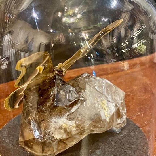 うつせみ標本屋】鉱物×昆虫 エレスチャルクォーツ×シンジュサン