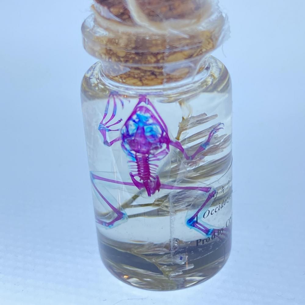 CrystallumۡھӨξۥ