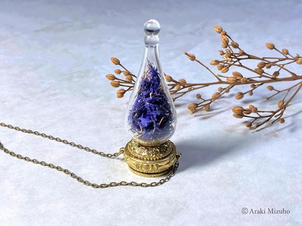 �ڥ��ꥹ�ޥ���Ÿ2025�����Ȥμ������θ�����