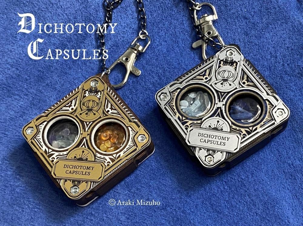 �ڥ��ꥹ�ޥ���Ÿ2025��DICHOTOMY CAPSULES