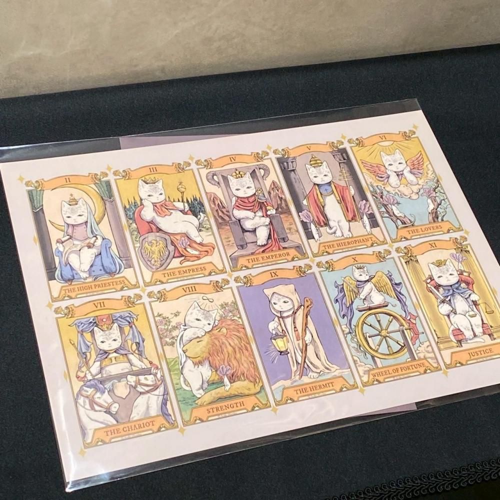 �ڥ��ꥹ�ޥ���Ÿ2025�ۥ����åȥ�����mini �祢�륫�� ���դ�