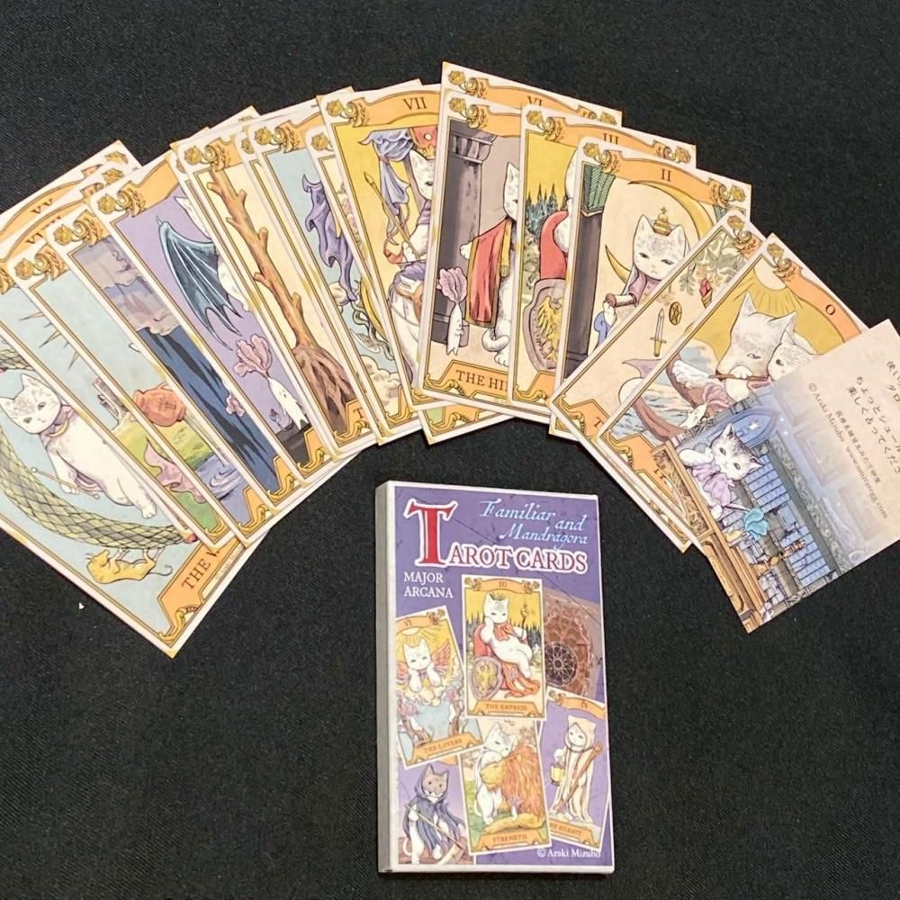 �ڥ��ꥹ�ޥ���Ÿ2025�ۥ����åȥ�����mini �祢�륫�� Ȣ���