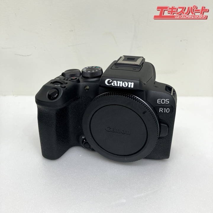Υ Canon EOS R10 ߥ顼쥹㥫 RF-S18-45mm F4.5-6.3 IS STM KIT ߥŹ