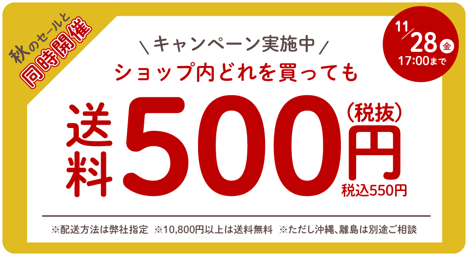 ΥƱšΧ500