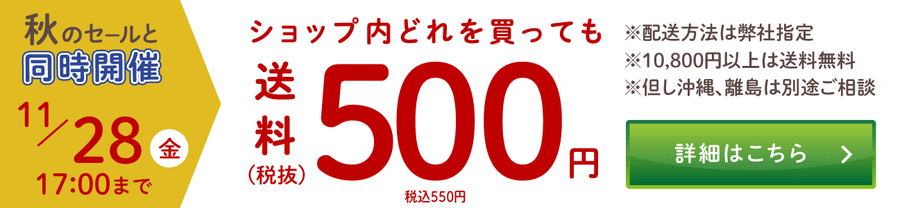 pc_送料500円バナー