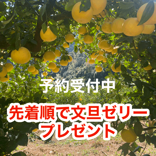 �ں�ʸöͽ����ճ��ϡ�1��20������缡ȯ��