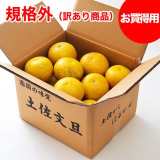 お買い得商品 - 土佐文旦通販 土佐文旦産直協同組合