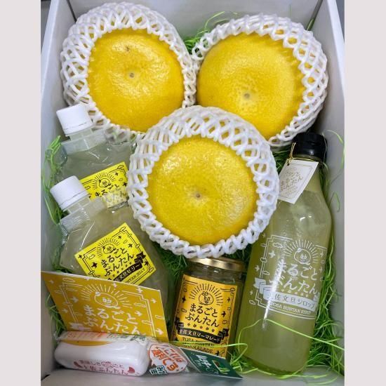 土佐文旦・まるごとぶんたん詰め合わせ