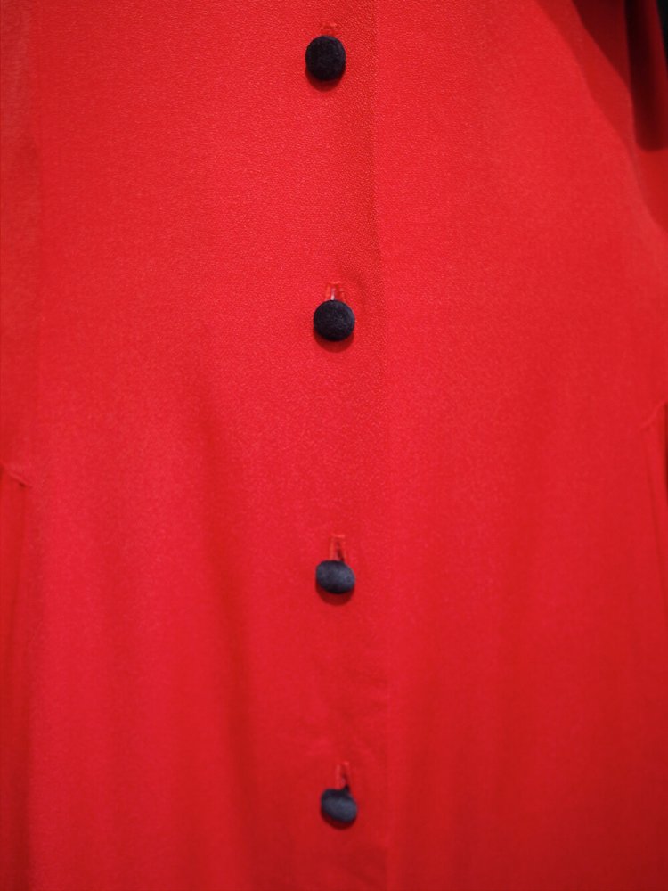 Velvet Collar & Buttons Front open Dress