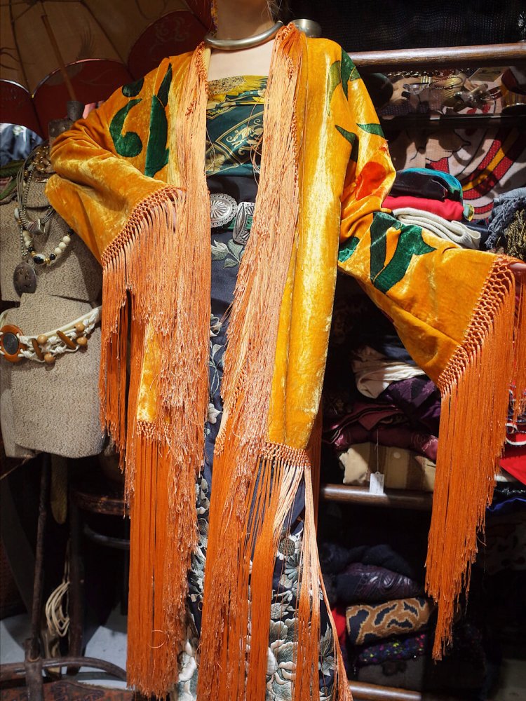 c.1920s Orientalism Hand Paint Fringe Velvet Gown