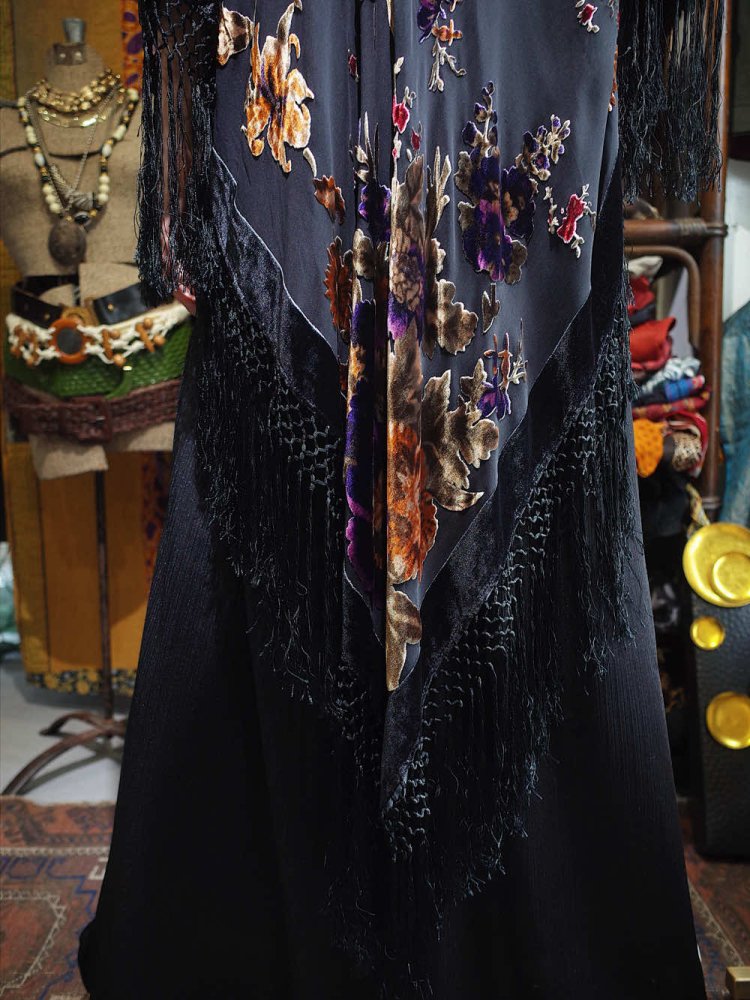 Velvet  Sheer Fringe Long Tail Gown