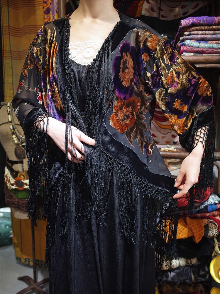 Velvet  Sheer Fringe Long Tail Gown