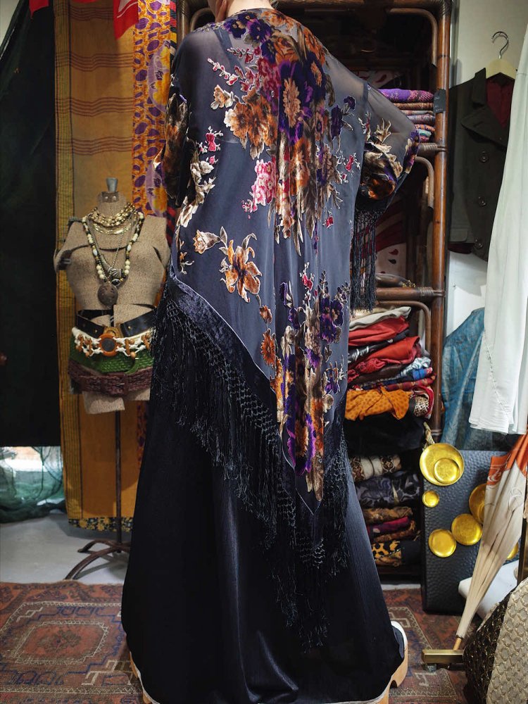 Velvet  Sheer Fringe Long Tail Gown