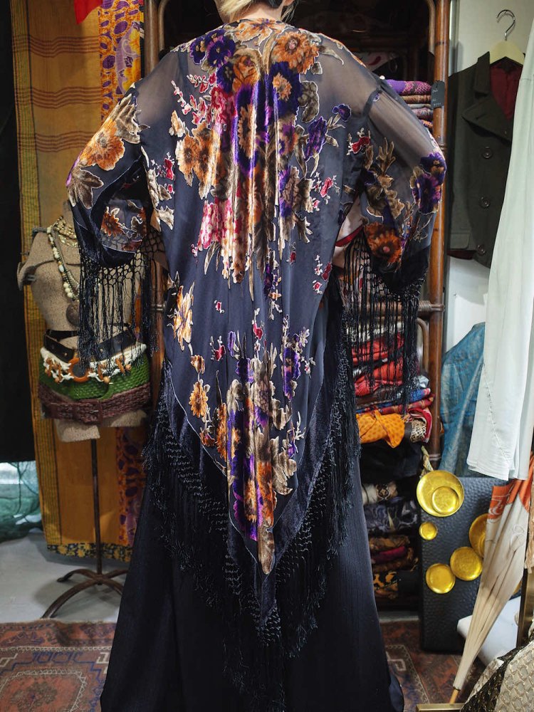 Velvet  Sheer Fringe Long Tail Gown