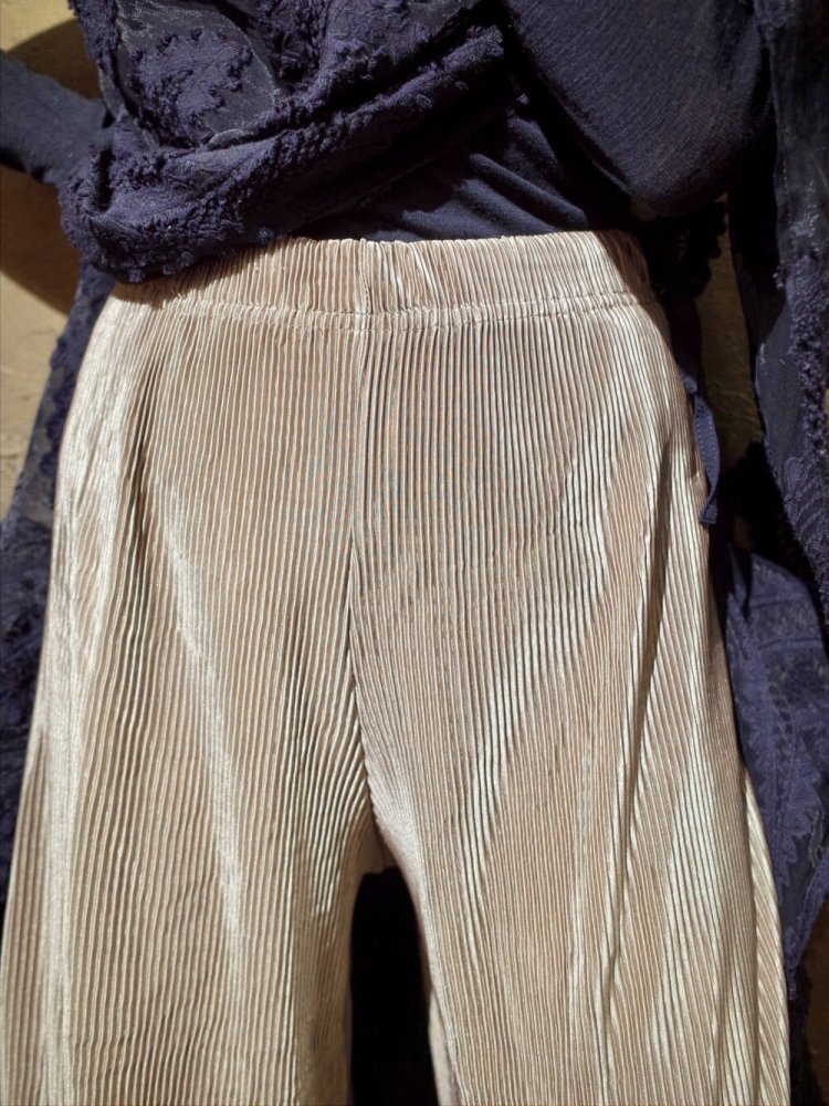 Champagne Gold Pleats Pants