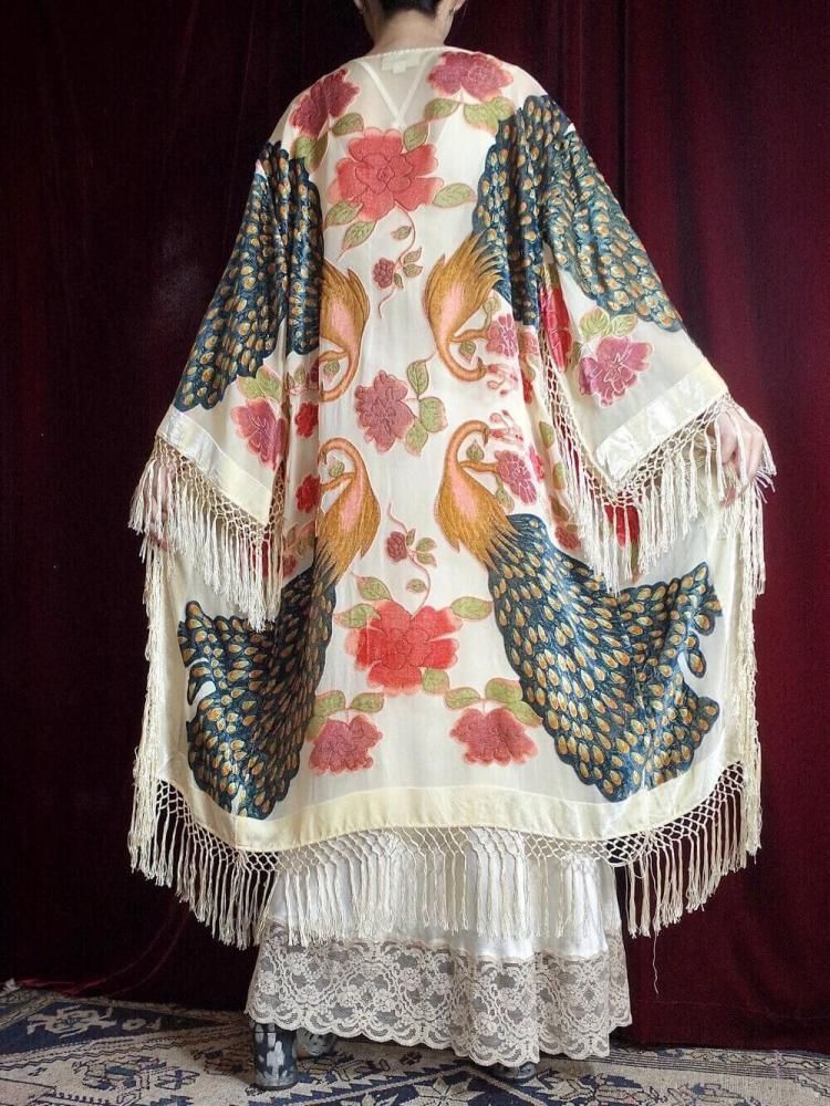 Peacock Velvet  Sheer Fringe Gown