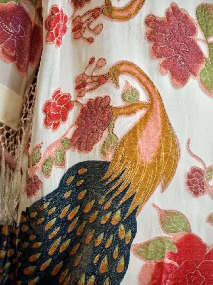 Peacock Velvet  Sheer Fringe Gown