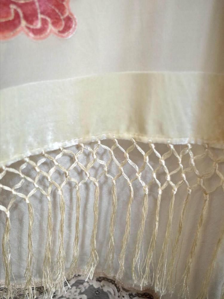 Peacock Velvet  Sheer Fringe Gown