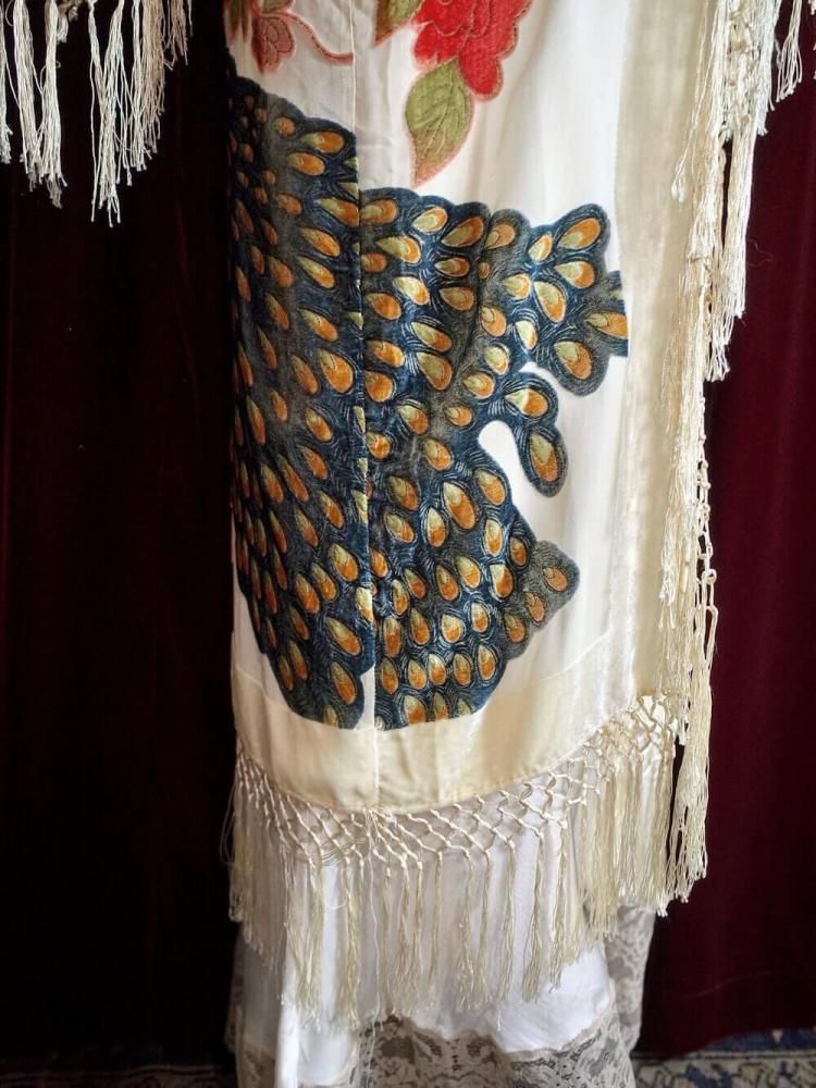 Peacock Velvet  Sheer Fringe Gown