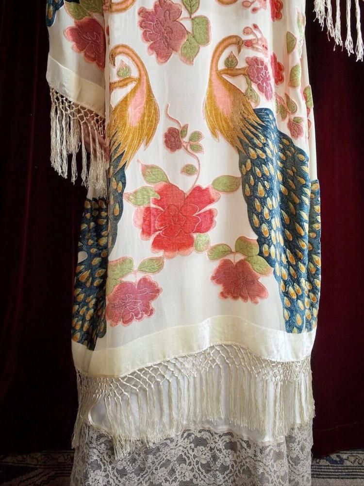 Peacock Velvet  Sheer Fringe Gown