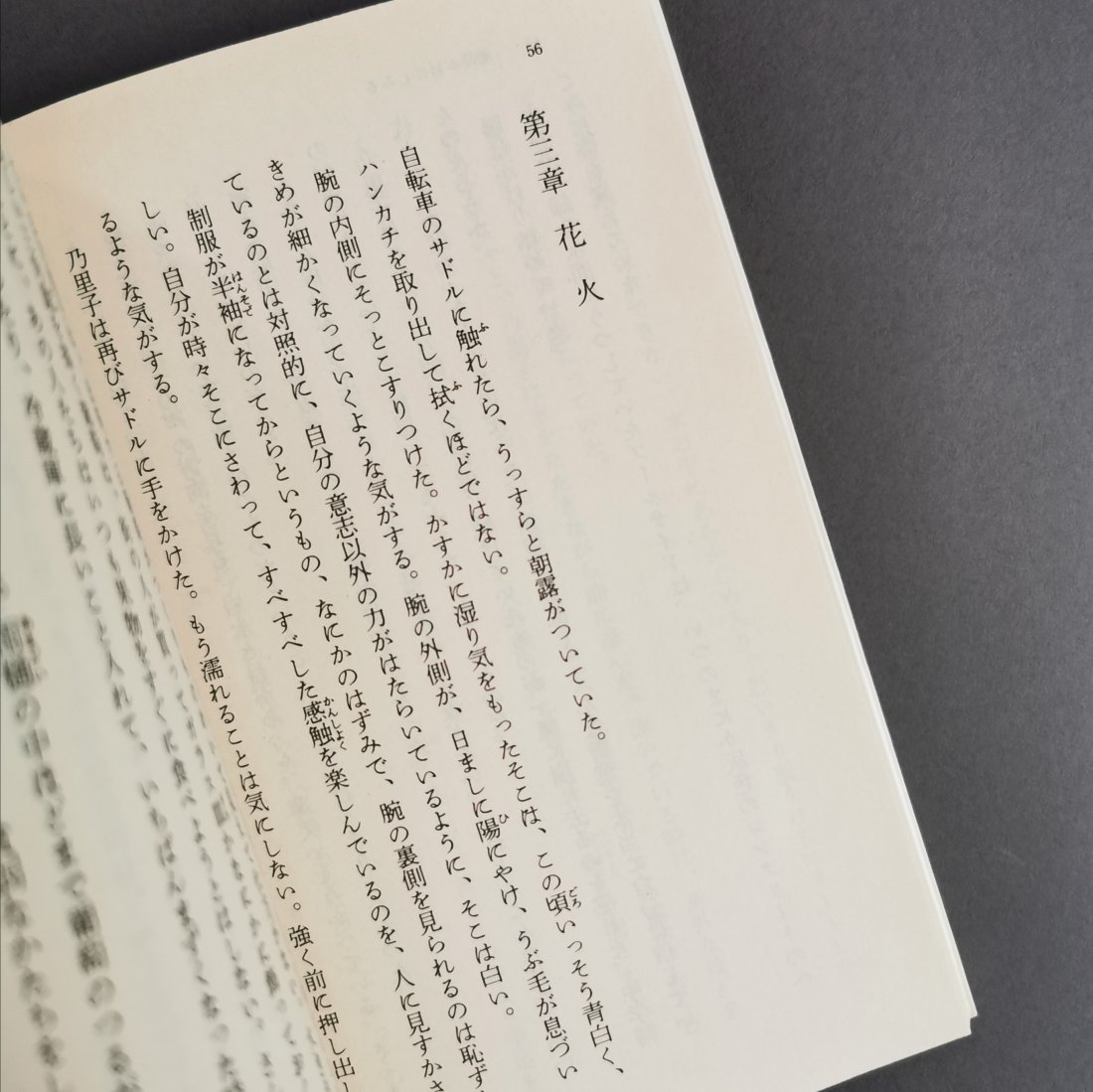 林真理子 / 葡萄が目にしみる（角川書店）